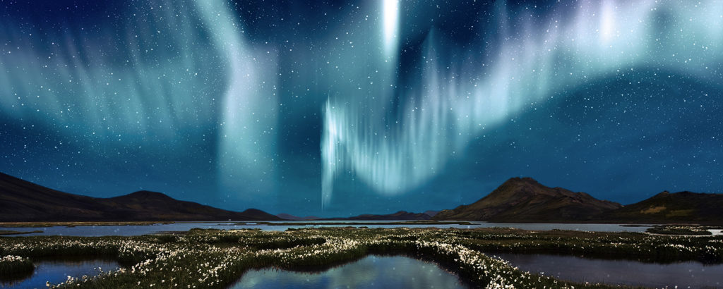 The Northern Lights over the marsh landscape with wildflowers in Landmannarlaugar, Iceland