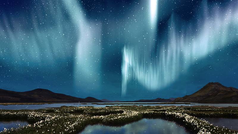 The Northern Lights over the marsh landscape with wildflowers in Landmannarlaugar, Iceland